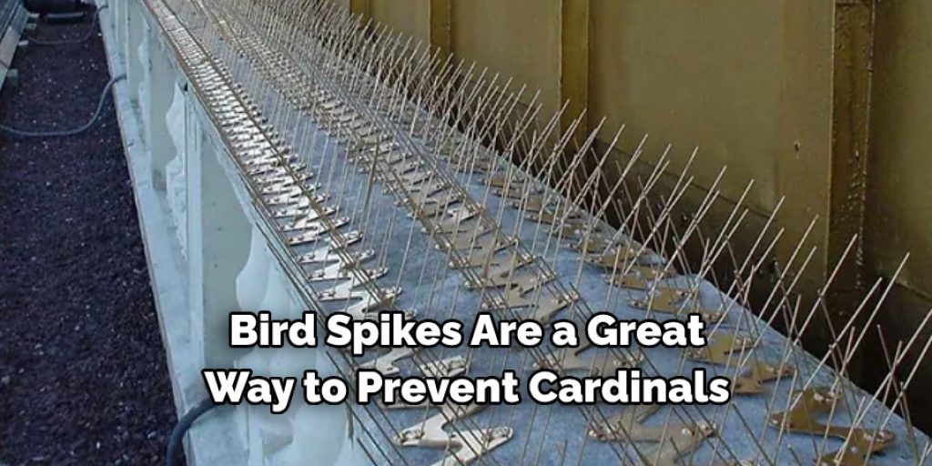 Bird Spikes Are a Great Way to Prevent Cardinals