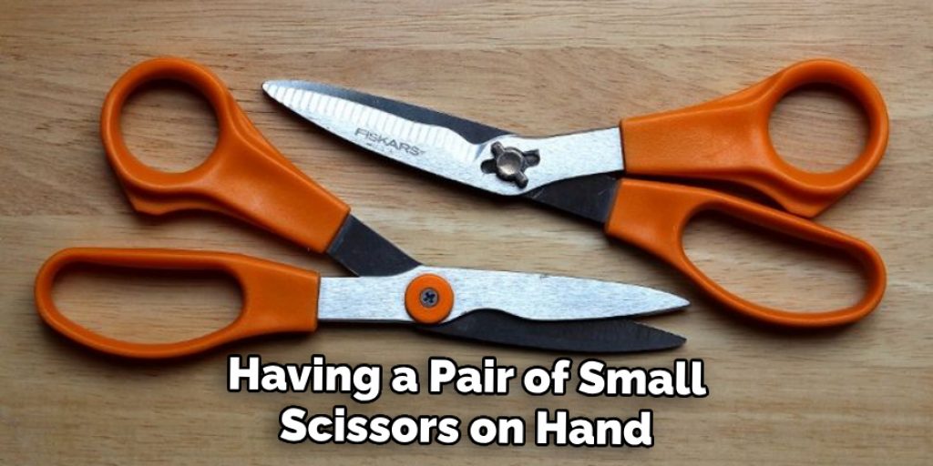 Having a Pair of Small Scissors on Hand
