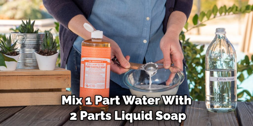 Mix 1 Part Water With 2 Parts Liquid Soap