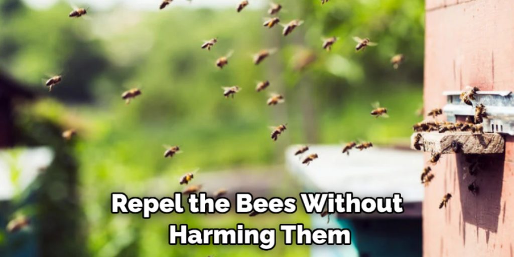 Repel the Bees Without Harming Them