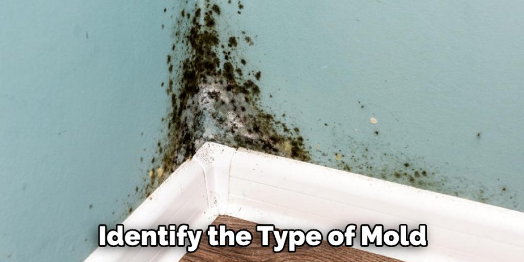 Identify the Type of Mold