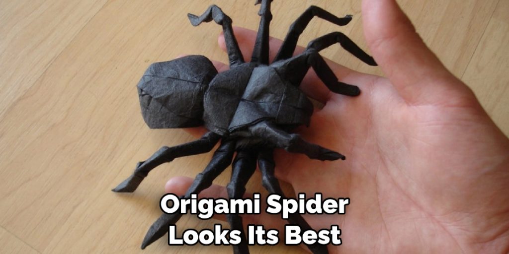 Origami Spider Looks Its Best