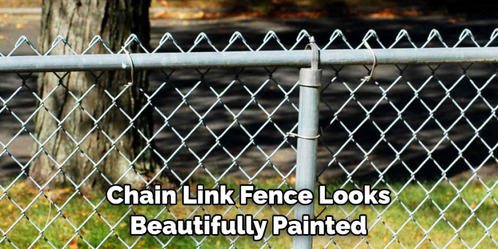 Chain Link Fence Looks Beautifully Painted