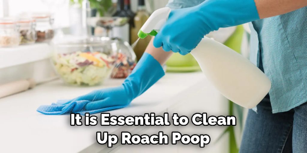 It is Essential to Clean Up Roach Poop