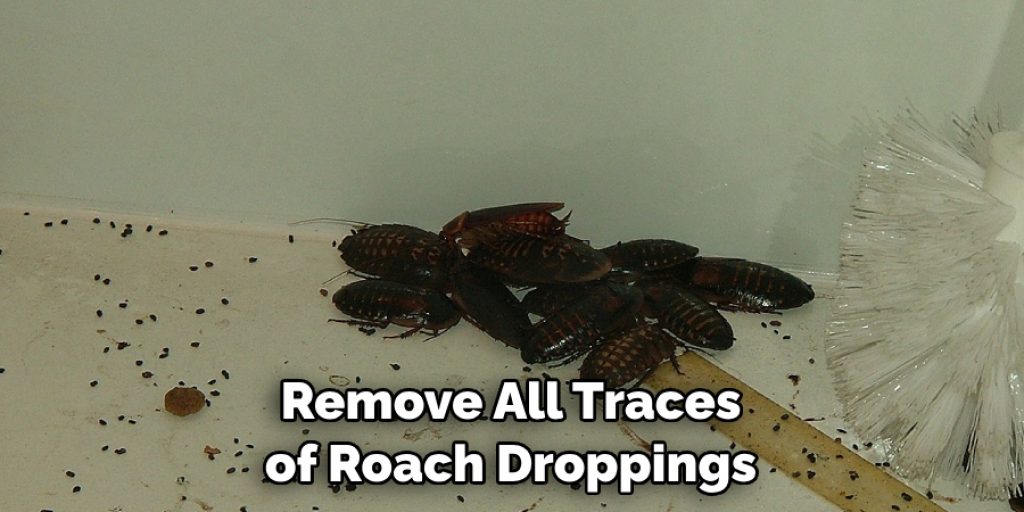 Remove All Traces of Roach Droppings