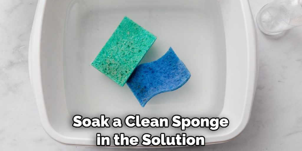 Soak a Clean Sponge in the Solution