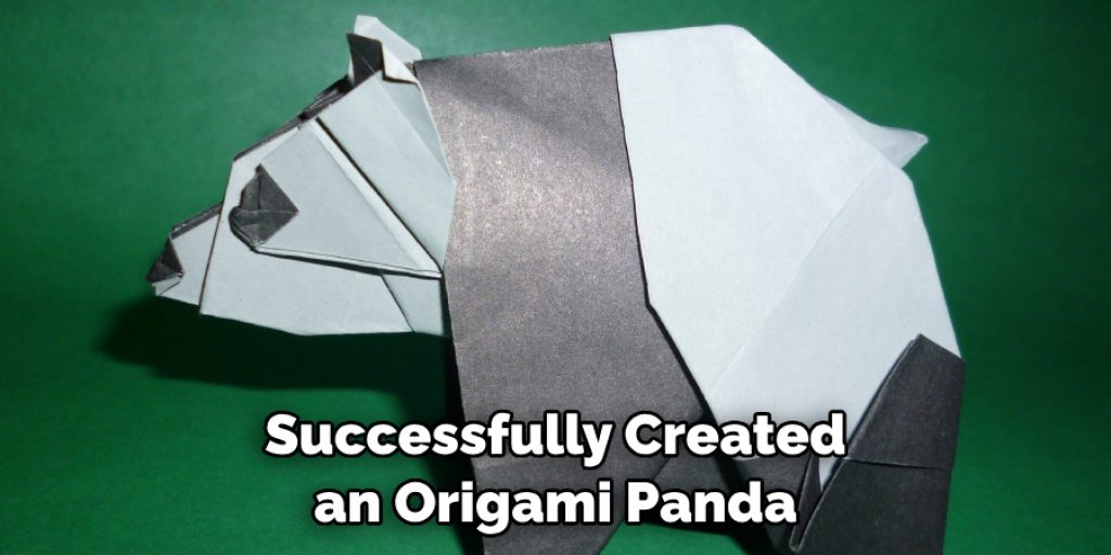 Successfully Created an Origami Panda