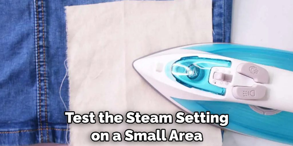 Test the Steam Setting on a Small Area