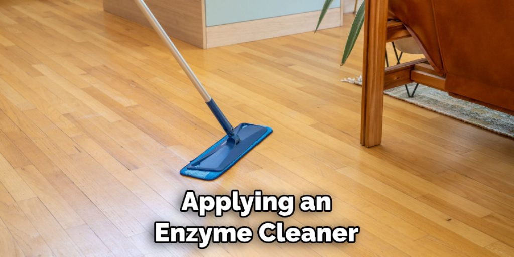 Applying an Enzyme Cleaner