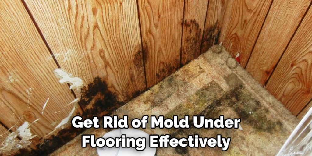 Get Rid of Mold Under Flooring Effectively