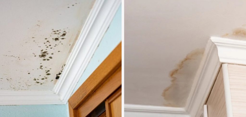 How to Remove Moisture From Ceiling