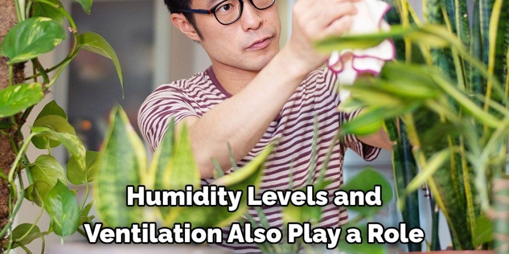 Humidity Levels and
Ventilation Also Play a Role