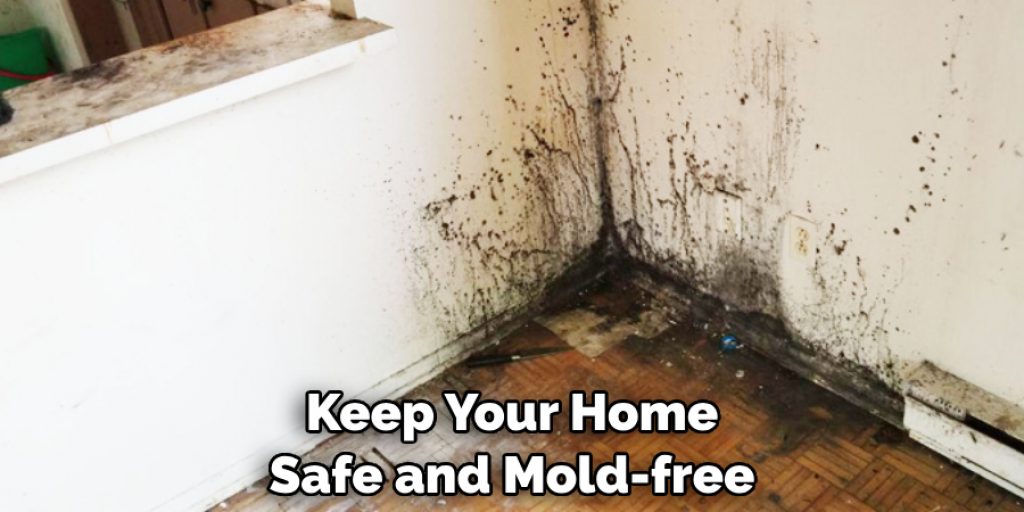 Keep Your Home Safe and Mold-free