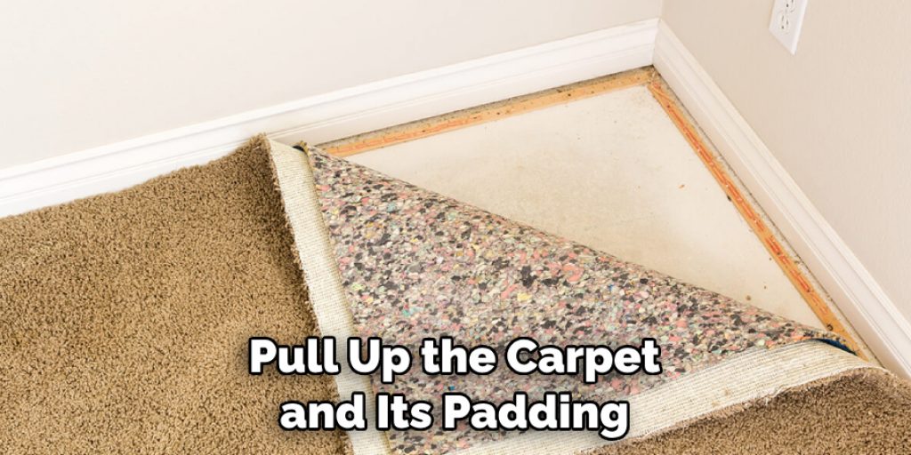 Pull Up the Carpet and Its Padding