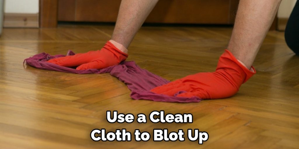 Use a Clean Cloth to Blot Up