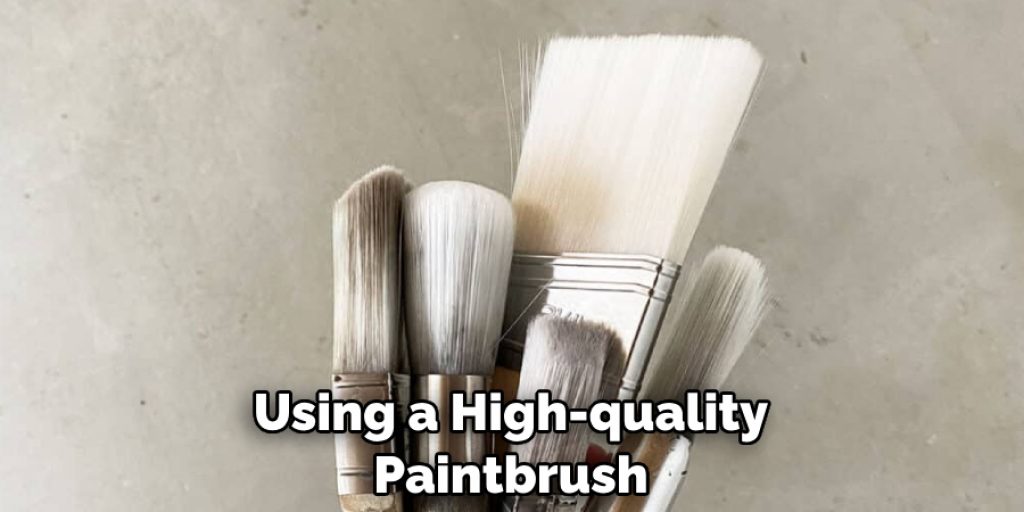 Using a High-quality Paintbrush