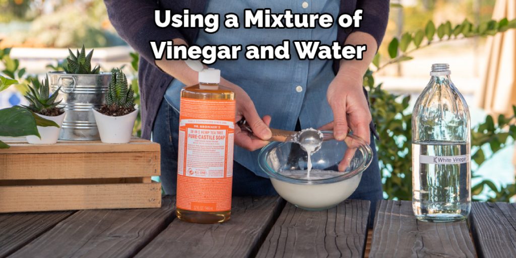 Using a Mixture of 
Vinegar and Water