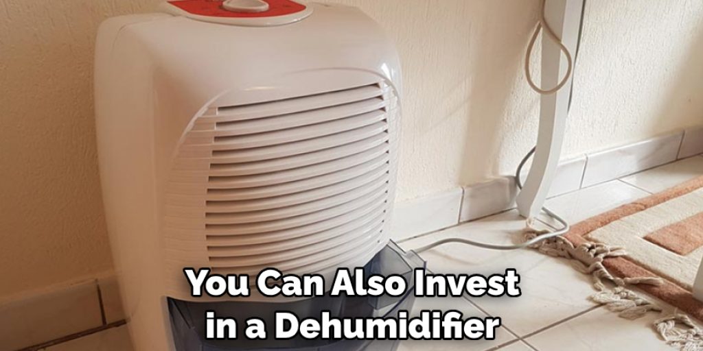 You Can Also Invest in a Dehumidifier