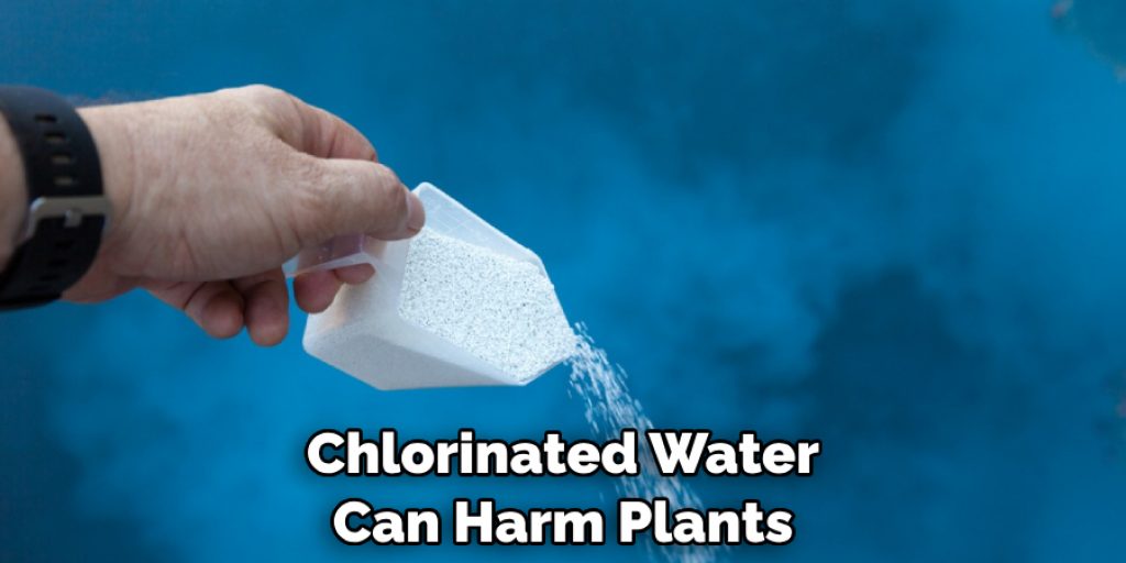 Chlorinated Water Can Harm Plants