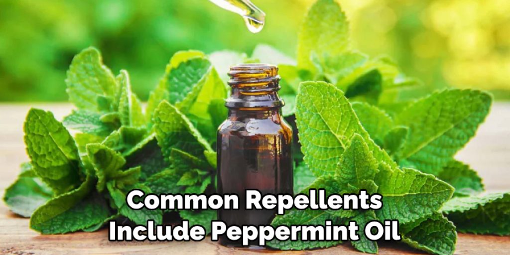 Common Repellents Include Peppermint Oil