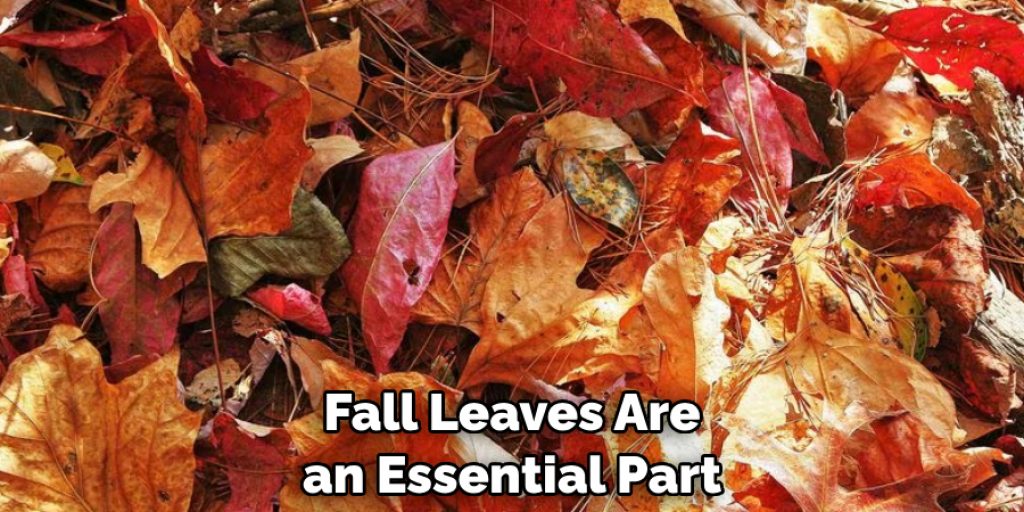 Fall Leaves Are an Essential Part