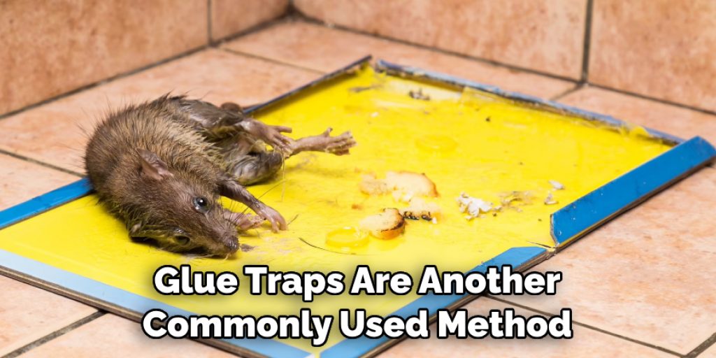 Glue Traps Are Another Commonly Used Method
