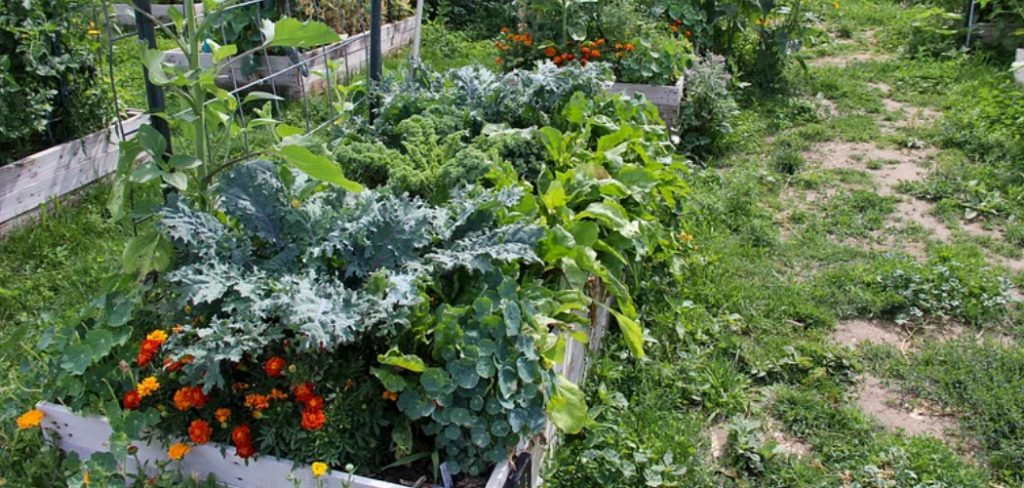 How to Clear a Vegetable Garden Full of Weeds