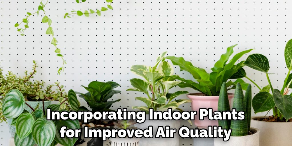 Incorporating Indoor Plants for Improved Air Quality