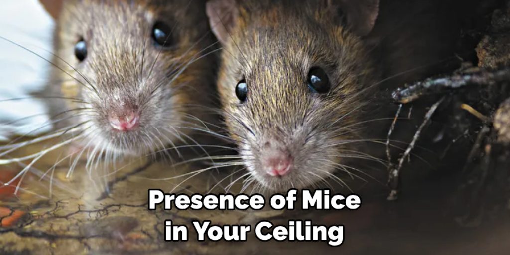 Presence of Mice in Your Ceiling