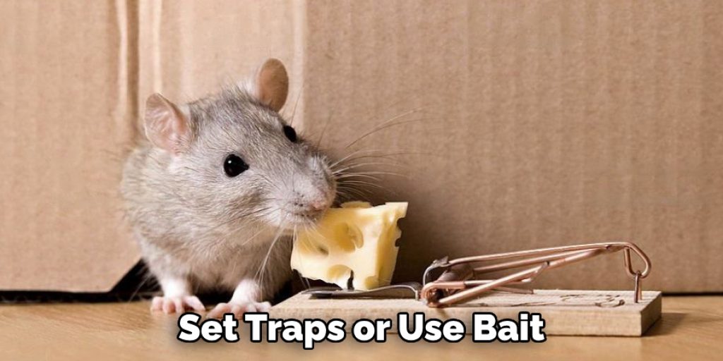Set Traps or Use Bait