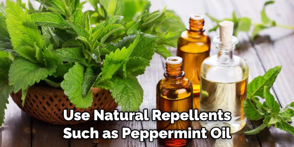 Use Natural Repellents Such as Peppermint Oil