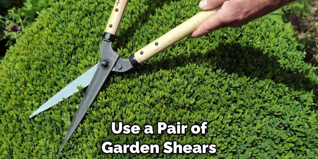 Use a Pair of Garden Shears