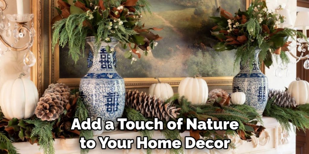 Add a Touch of Nature to Your Home Decor