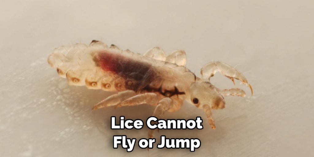 Lice Cannot Fly or Jump