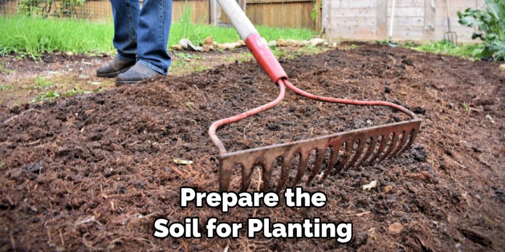 Prepare the Soil for Planting