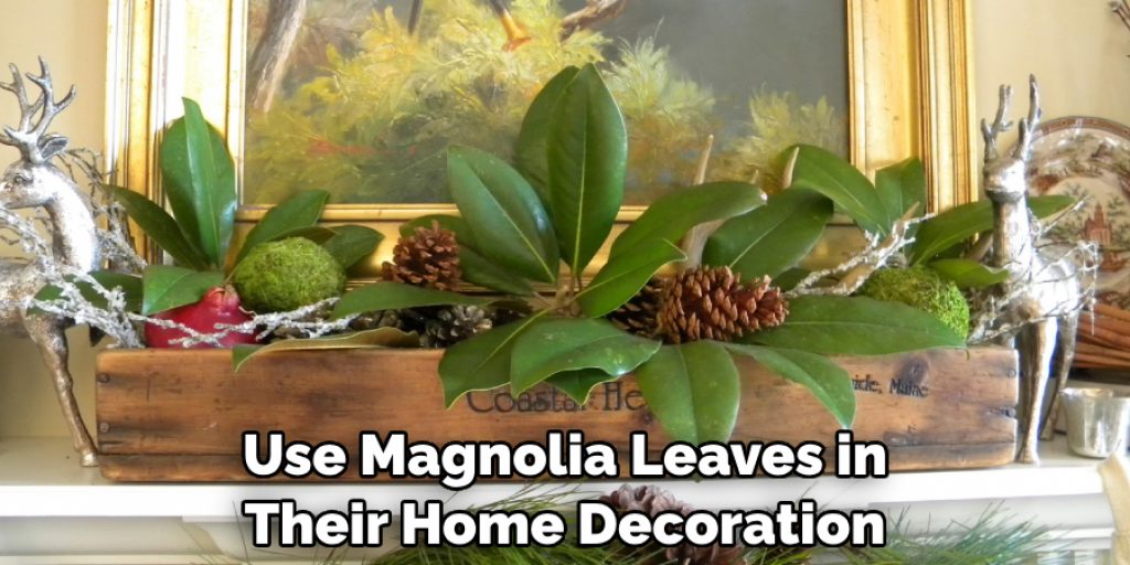 Use Magnolia Leaves in Their Home Decoration