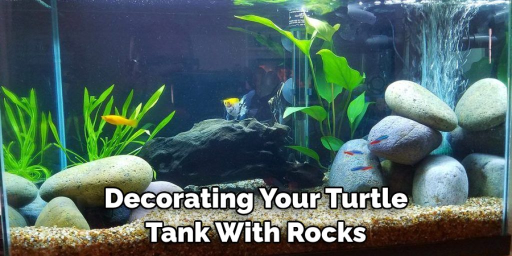 Decorating Your Turtle Tank With Rocks