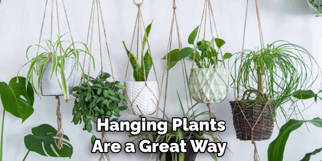 Hanging Plants Are a Great Way 