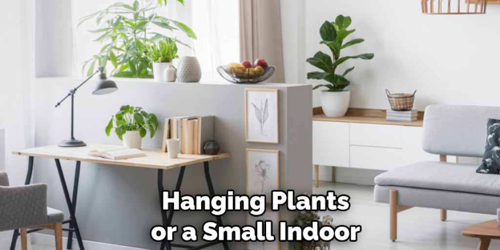 Hanging Plants or a Small Indoor