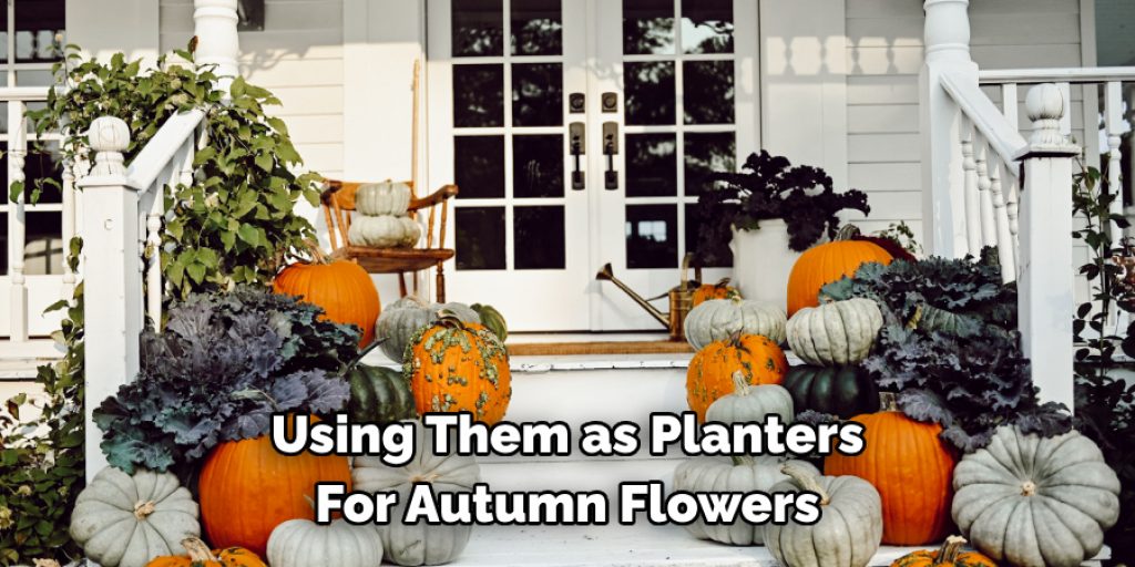 Using Them as Planters For Autumn Flowers