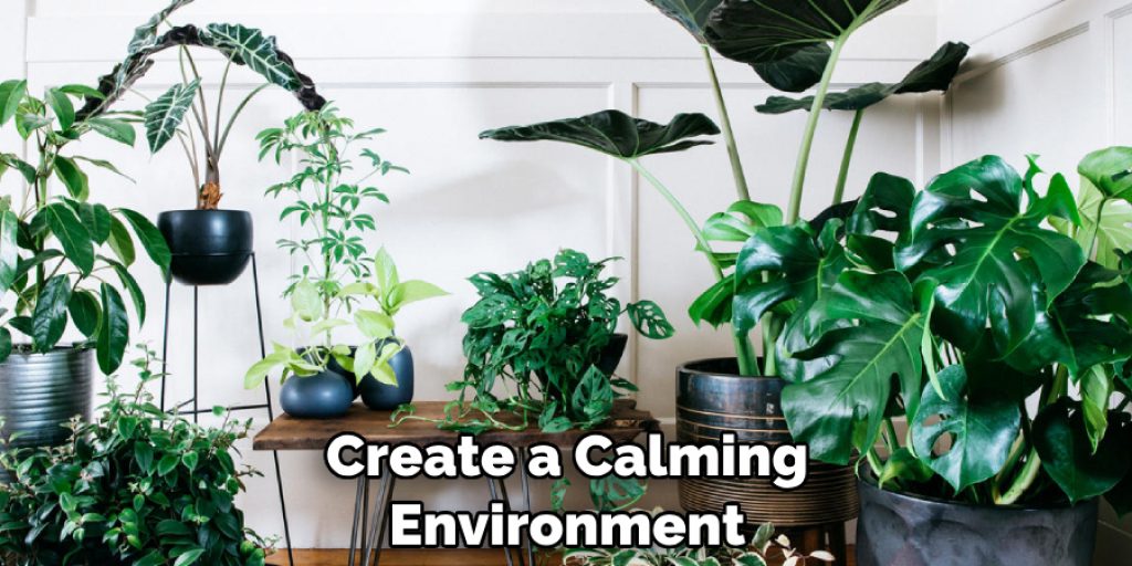 Create a Calming Environment