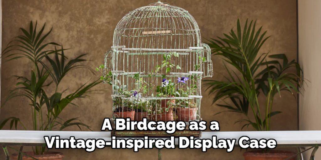 A Birdcage as a Vintage-inspired Display Case