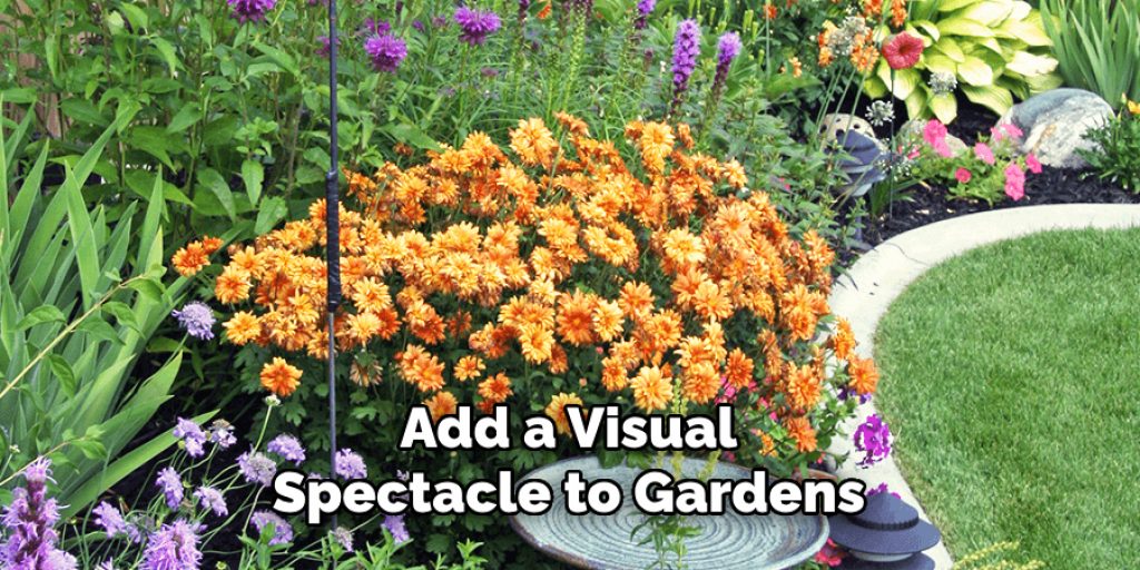Add a Visual Spectacle to Gardens