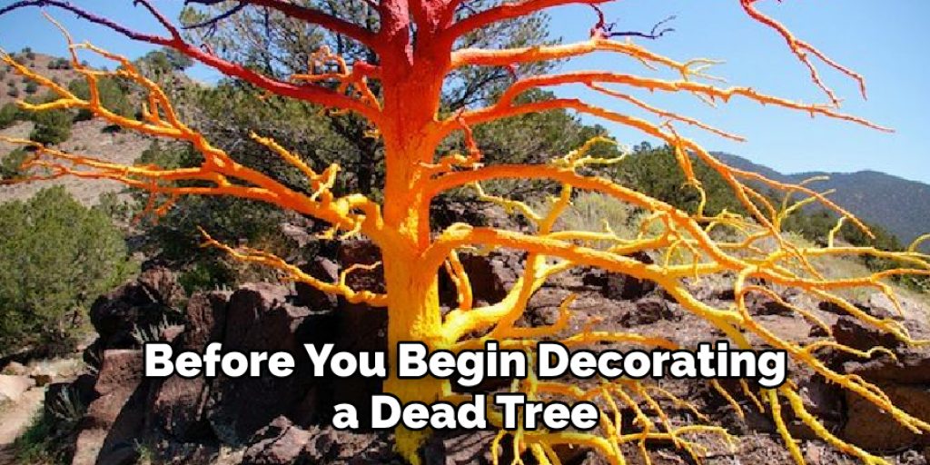 Before You Begin Decorating a Dead Tree