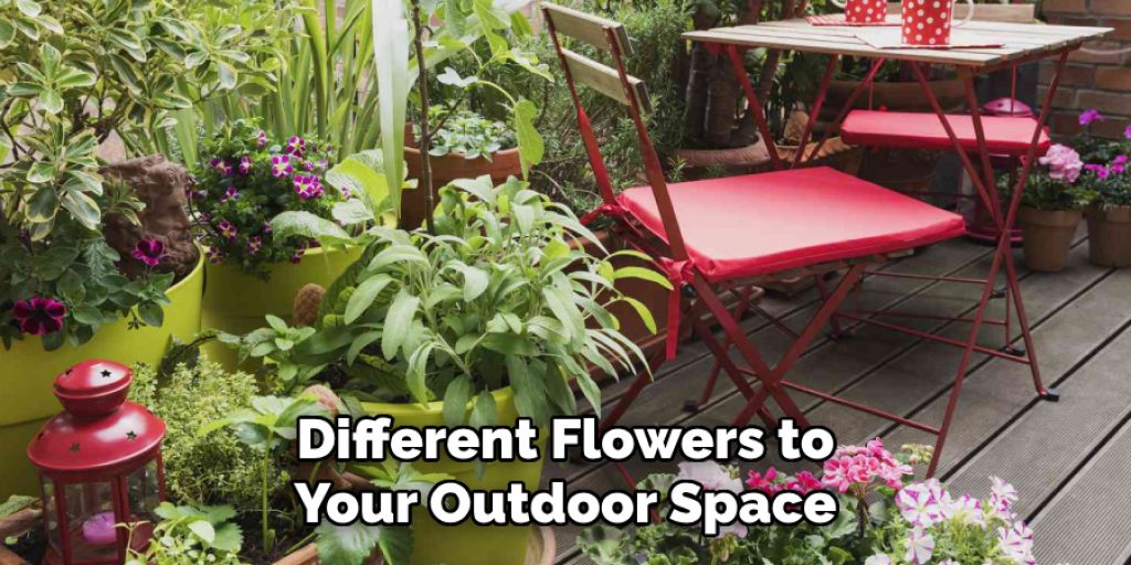 Different Flowers to Your Outdoor Space