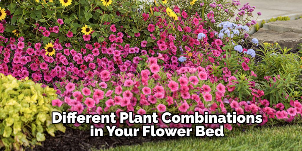 Different Plant Combinations in Your Flower Bed