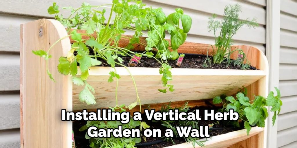 Installing a Vertical Herb Garden on a Wall