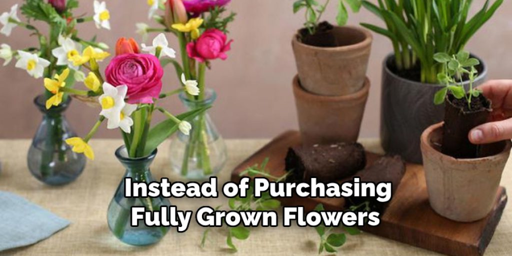 Instead of Purchasing Fully Grown Flowers