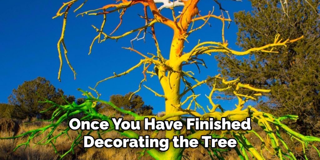 Once You Have Finished Decorating the Tree