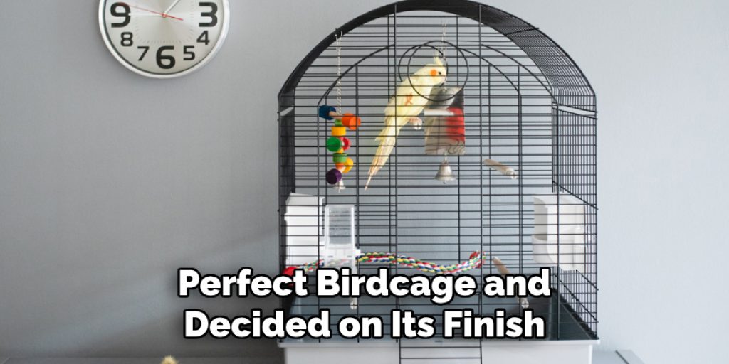 Perfect Birdcage and Decided on Its Finish